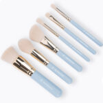 BH-4000-106-Travel-Series-Escapade-6-piece-brush-set-1